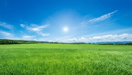 Obraz premium 青空が広がる夏の草原風景5