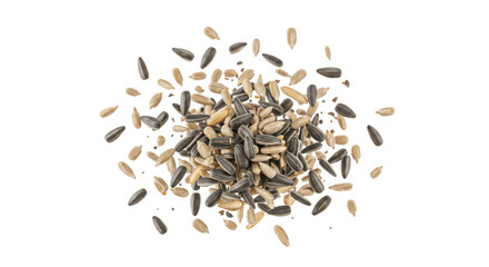 Isolated Mixed Pile of Sunflower Seeds