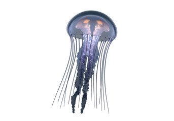 Isolated Translucent Jellyfish with Bioluminescent Glow and Flowing Tentacles © Matteo