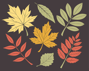 Collection of six colorful stylized leaves in various shapes and colors.