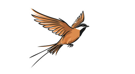 Obraz premium Colorful bird in flight against a white background 