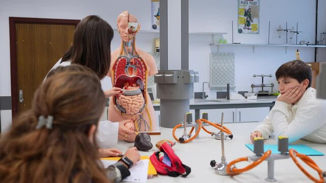 Female biology teacher showing anatomical model of human heart to high school students in a school laboratory