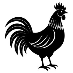 Animal rooster silhouette vector illustrator