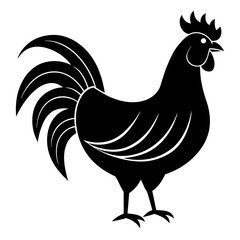 Animal rooster silhouette vector illustrator