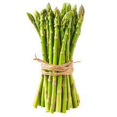 A bunch of fresh green asparagus tied with twine on dark setting on transparent background