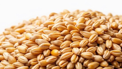 Close-up Texture of Pearl Barley Grains, Organic Food Background