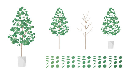 観葉植物のユーカリのイラスト素材セット © ふわぷか