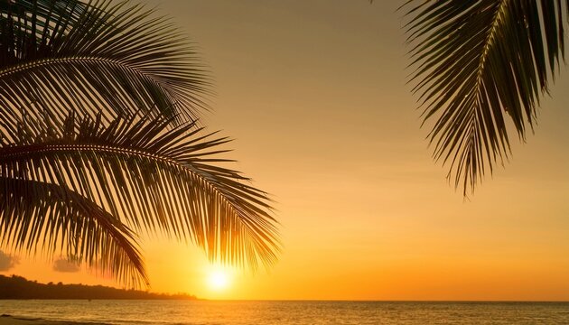 palm leaf waving in sunset breeze during Semana Santa in the Philippines with big copy space4