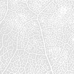 Botanical wall art vector set. Golden line art drawing with abstract shape. Abstract Plant Art design for wall framed prints, canvas prints, poster, home decor, cover, wallpaper.