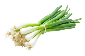 Fototapeta premium A bunch of fresh scallions tied together on a dark background on transparent background