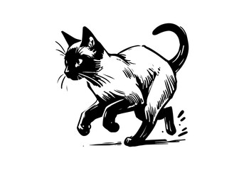 Siamese Cat Hand Drawn Illustration Sketch Vector Isolated for Graphic Resource