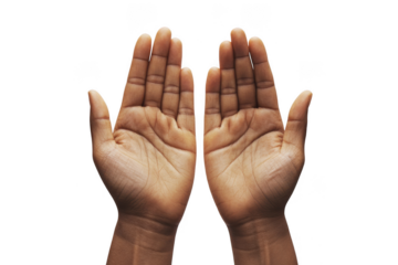 Two hands open palms facing upwards against a dark backdrop view on transparent background