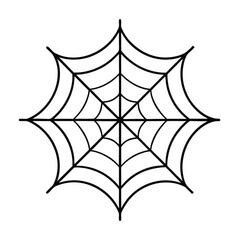 spider  web