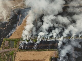 Climate change, Agriculture burning release carbon	