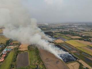 Climate change, Agriculture burning release carbon	