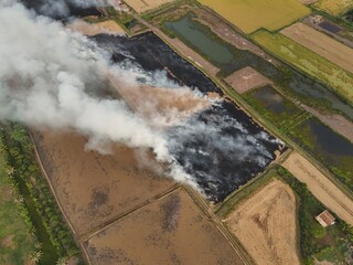 Climate change, Agriculture burning release carbon	