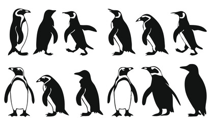 Fototapeta premium Penguin Vector Collection – Stylized Emperor Penguins Walking, Swimming, and Grouped in Arctic Wildlife Scene.