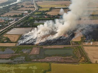 Climate change, Agriculture burning release carbon	