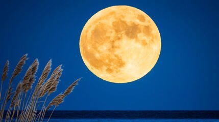 Fototapeta premium Majestic Full Moon Over Calm Sea with Silhouetted Reeds at Dusk