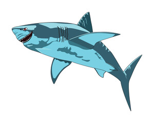 Cartoon Smiling Shark Character Animal Vector