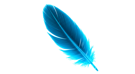 Isolated feather blue feather quill feather bird feather soft feather light feather design feather art