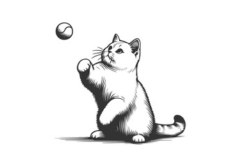 British Shorthair Cat Hand Drawn Illustration Sketch Vector Isolated for Graphic Resource