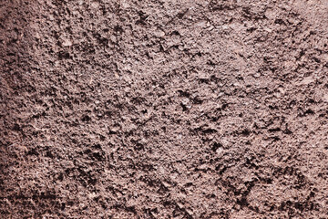 Fertile land background, soil texture in garden. soil ground dirt texture. Earth soil texture. Ground earth