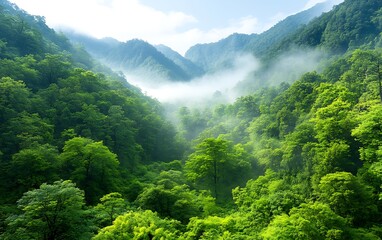 Misty Mountain Valley View (3)