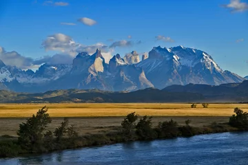 Selbstklebende Fototapeten Fauna, flora, and landscapes of the Magallanes and Torres del Paine region © Ivan