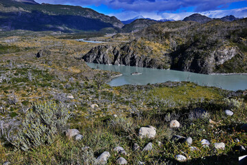 Fototapeta premium Fauna, flora, and landscapes of the Magallanes and Torres del Paine region