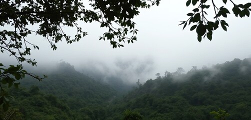 Obraz premium Misty Mountain Landscape with Lush Green Forest