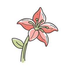 amaryllis flower icon, amaryllis flower vector illustration-simple illustration of amaryllis flower, perfect for amaryllis flower logos and icons