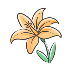 daylily flower icon, daylily flower vector illustration-simple illustration of daylily flower, perfect for daylily flower logos and icons