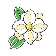 jasmine flower icon, jasmine flower vector illustration-simple illustration of jasmine flower, perfect for jasmine flower logos and icons