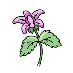 lamium deadnettle flower icon, lamium deadnettle flower vector illustration-simple illustration of lamium deadnettle flower, perfect for lamium deadnettle flower logos and icons