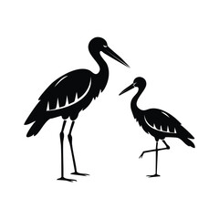 stork on the ground silhouette