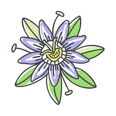 passionflower flower icon, passionflower flower vector illustration-simple illustration of passionflower flower, perfect for passionflower flower logos and icons
