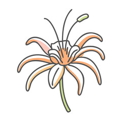 spider lily flower icon, spider lily flower vector illustration-simple illustration of spider lily flower, perfect for spider lily flower logos and icons