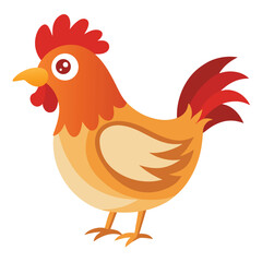 Hen isolated on white