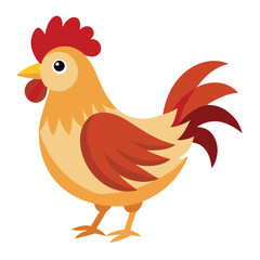 Hen isolated on white
