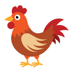 Hen isolated on white