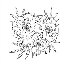 Marigold flower head bouquet with tropical leaves line art vector illustration. Blooming flowers black ink sketch. Floral border for garden themed design, herbal product packaging