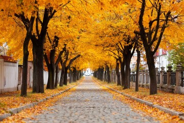 Golden Autumn Alleyway - Picturesque cobblestone path lined with trees showcasing vibrant golden autumn foliage