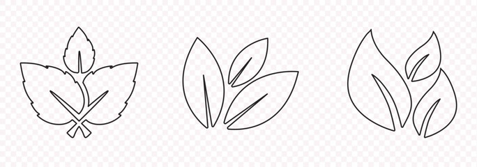 Collection of leaf icons. Black icons isolated on a white background. Vector illustration 