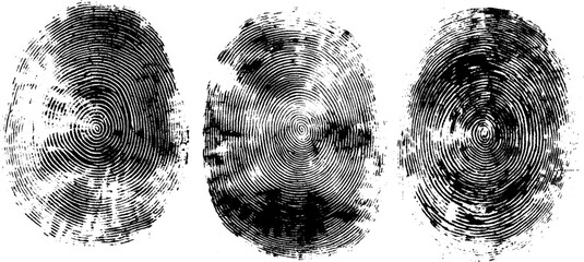Obraz premium fingerprint or thumbprint set isolated on white. Vector set of detailed black fingerprint illustrations