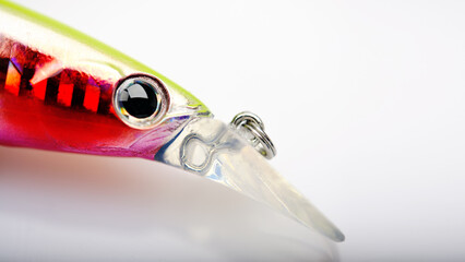 artificial eye of deep diving wobbler, close up on white
