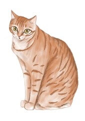 A realistic illustration of a ginger tabby cat sitting upright, showcasing a light orange coat with darker stripes, expressive eyes, and a calm demeanor, ideal for creative projects.