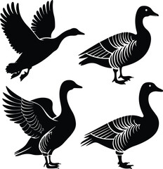 Goose Silhouette Set for Nature and Wildlife Design Projects