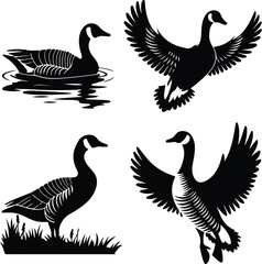 Goose Silhouette Set for Nature and Wildlife Design Projects