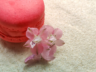Sweet and tasty red french macaroon with delicate pink flowers on white tablecloth. Lightness and sophistication, atmosphere of true pleasure. Close-up. Copy space for text.